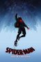 Nonton Spider-Man: Into the Spider-Verse (2018)
