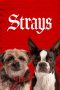 Nonton Strays (2023)