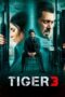 Nonton Tiger 3 (2023)